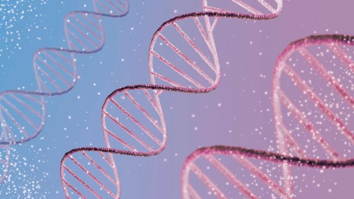 struktury białek i biotechnologia
